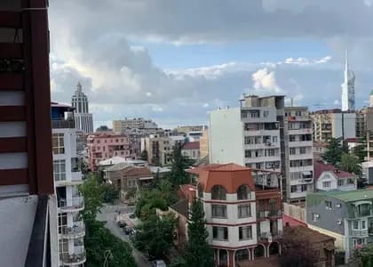 сдам студию в Батуми! 🦕
