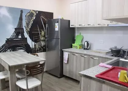 Квартира 1+1 в центре