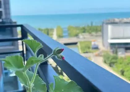 сдам квартиру 1+1 в Батуми